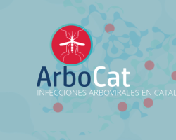 arbovirus
