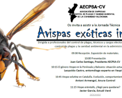 avispas