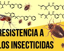 resistencia insecticidas