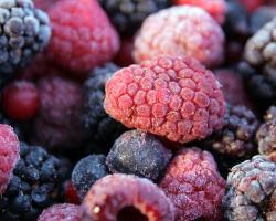 virus transmitidos por los alimentos