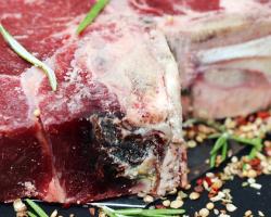 seguridad alimentaria