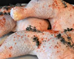 seguridad alimentaria