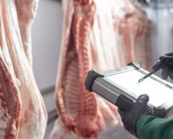 seguridad alimentaria