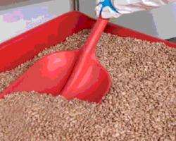 seguridad alimentaria