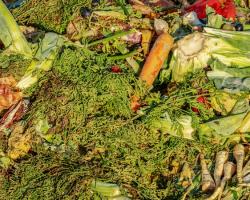 seguridad alimentaria