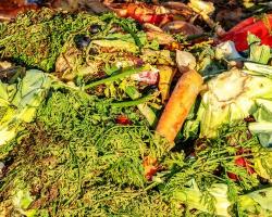 desperdicio alimentario