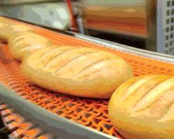 listeria