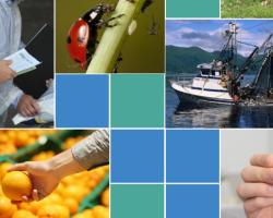 seguridad alimentaria