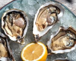 virus transmitidos por los alimentos