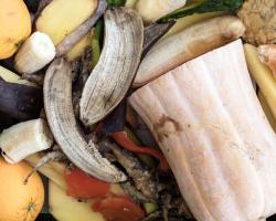 desperdicio alimentario