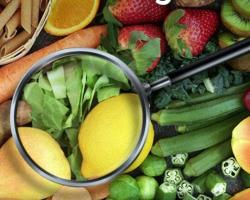 seguridad alimentaria