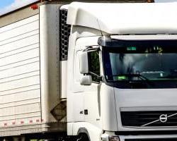 seguridad alimentaria