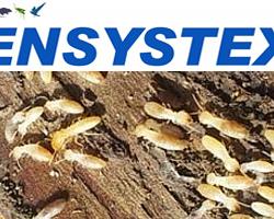 ensystex