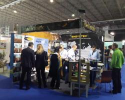 ensystex