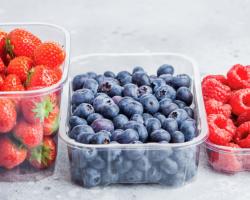 envases alimentarios