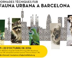 fauna urbana