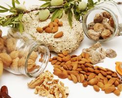 seguridad alimentaria