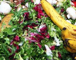 desperdicio alimentario