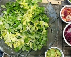 seguridad alimentaria