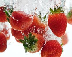 seguridad alimentaria