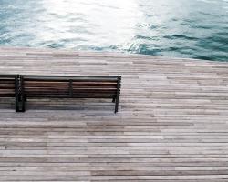 tratamiento de la madera