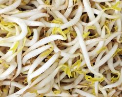 seguridad alimentaria