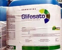 glifosato