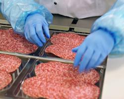 seguridad alimentaria