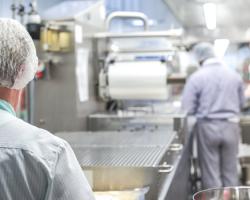 seguridad alimentaria