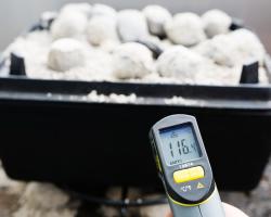 seguridad alimentaria