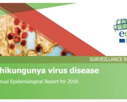 chikungunya
