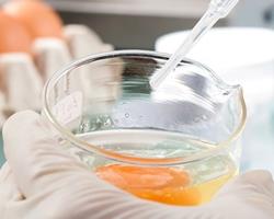 microbiologia alimentos