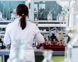 microbiologia alimentaria