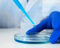 microbiologia alimentaria