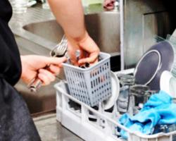 seguridad alimentaria