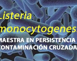 Listeria