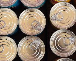 seguridad alimentaria