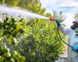 seguridad alimentaria