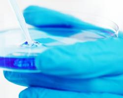 microbiologia alimentaria