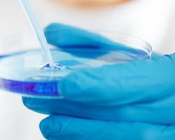 microbiologia alimentaria