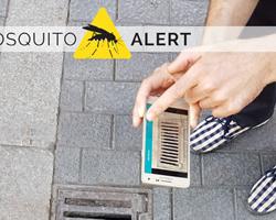 mosquito alert
