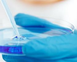 listeria monocytogenes