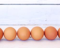 seguridad alimentaria