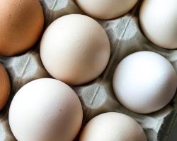 seguridad alimentaria