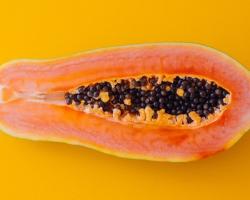 seguridad alimentaria