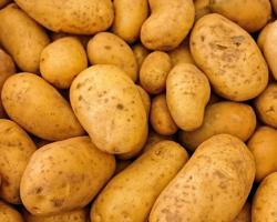 seguridad alimentaria