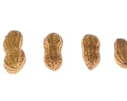 alérgenos alimentarios