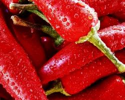 coadyuvantes tecnológicos