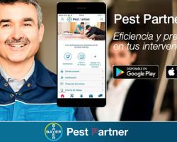 bayer