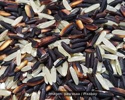 seguridad alimentaria